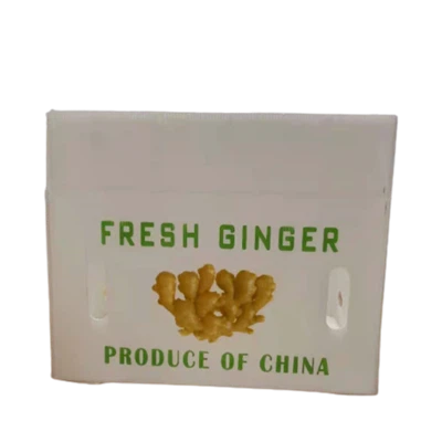 علب الزنجبيل البلاستيكية المموجة PP