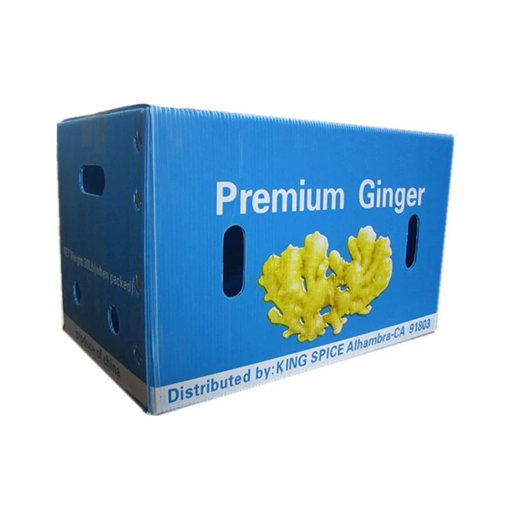Foldable Fresh Fruit Vegetable Coroplast Box